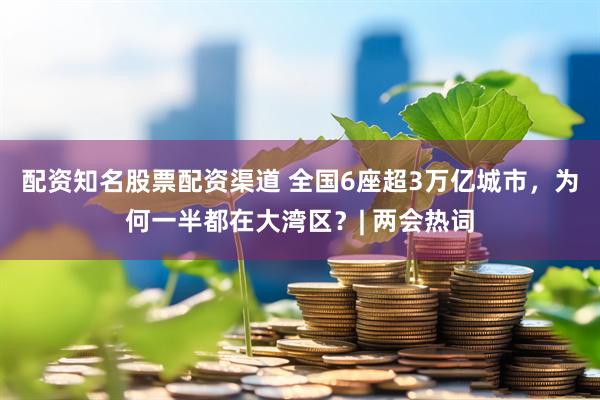 配资知名股票配资渠道 全国6座超3万亿城市，为何一半都在大湾区？| 两会热词