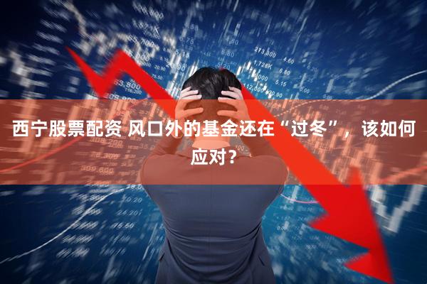 西宁股票配资 风口外的基金还在“过冬”,该如何应对?